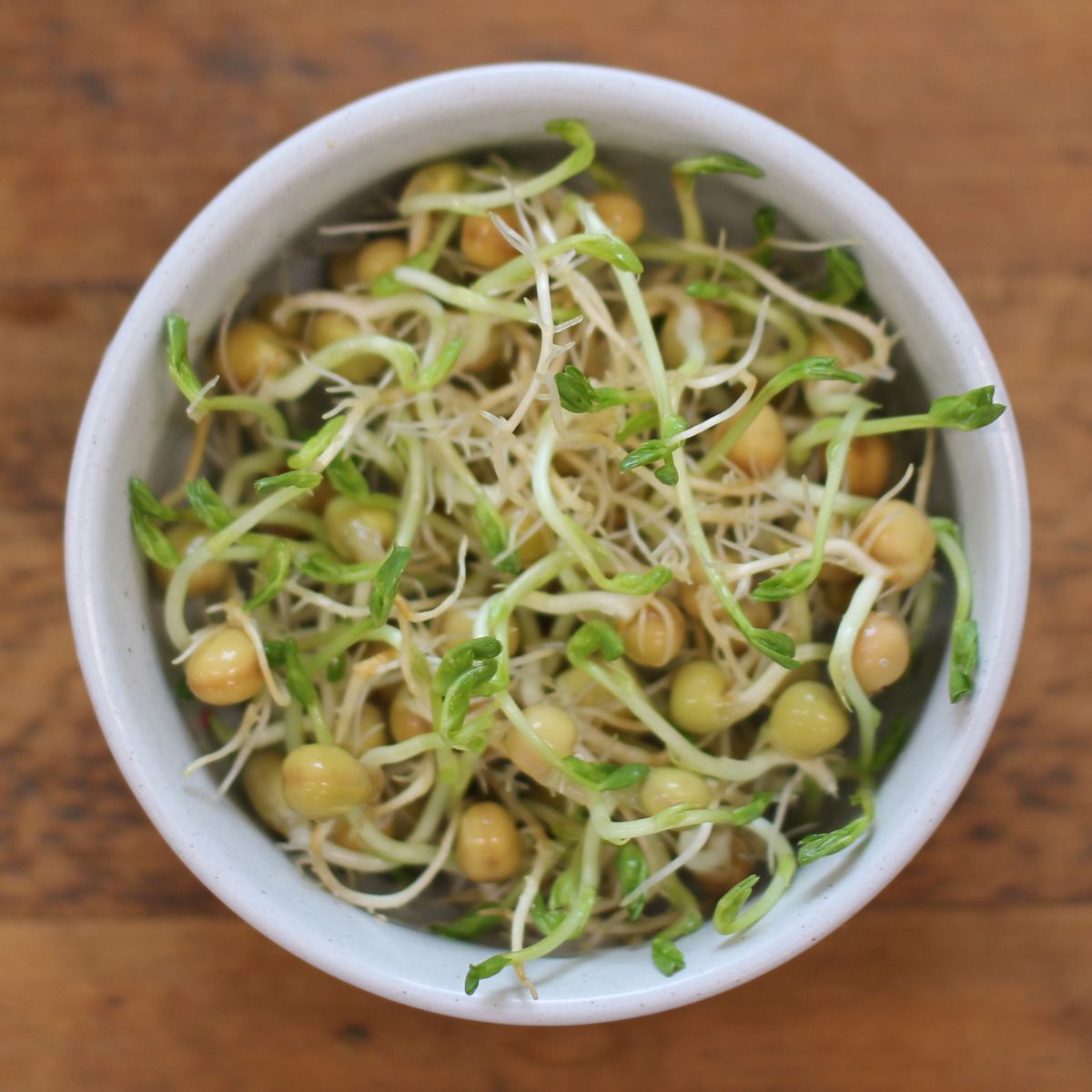 Sprouting Seeds- Snow Pea 100g